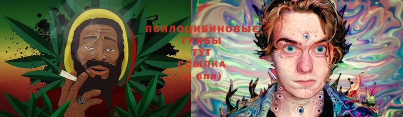 Псилоцибиновые грибы MAGIC MUSHROOMS  Ивдель 